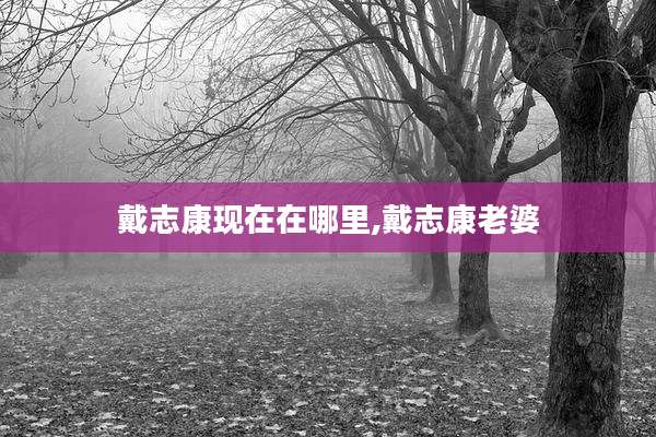 戴志康现在在哪里,戴志康老婆