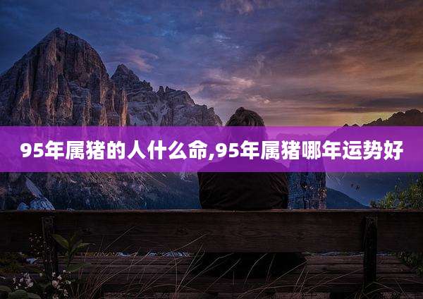 95年属猪的人什么命,95年属猪哪年运势好