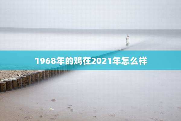 1968年的鸡在2021年怎么样