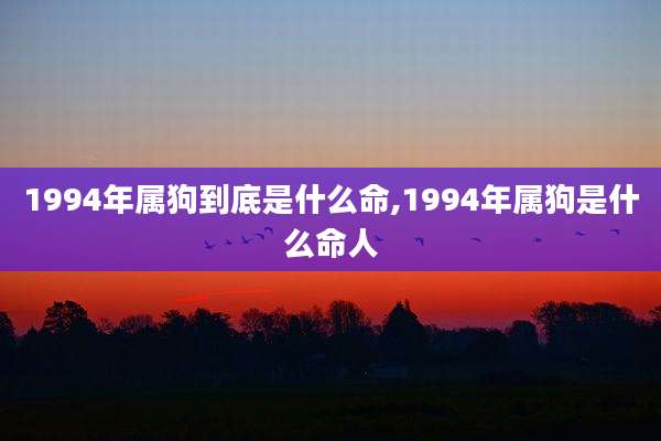 1994年属狗到底是什么命,1994年属狗是什么命人