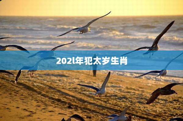 202l年犯太岁生肖