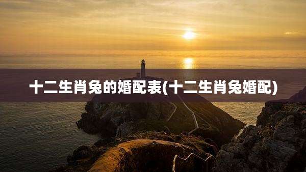 十二生肖兔的婚配表(十二生肖兔婚配)