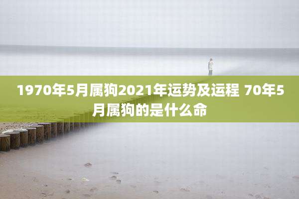 1970年5月属狗2021年运势及运程 70年5月属狗的是什么命