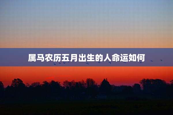 属马农历五月出生的人命运如何