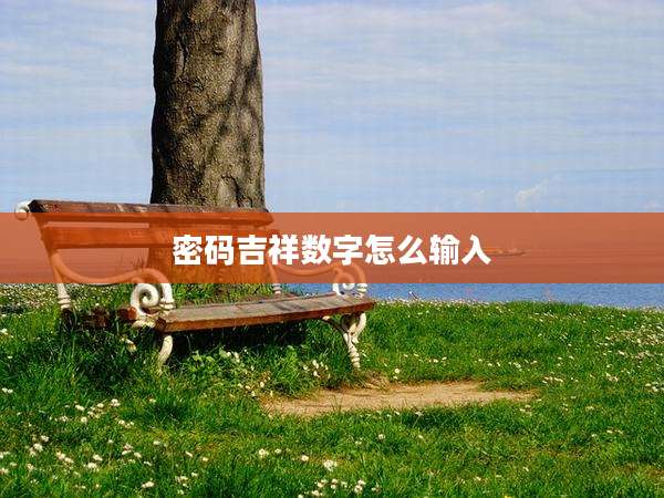 密码吉祥数字怎么输入