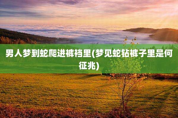男人梦到蛇爬进裤裆里(梦见蛇钻裤子里是何征兆)