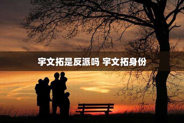 宇文拓是反派吗 宇文拓身份