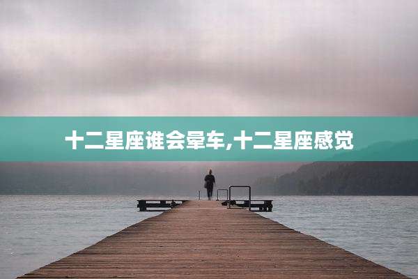 十二星座谁会晕车,十二星座感觉