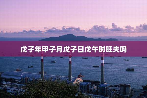 戊子年甲子月戊子日戊午时旺夫吗