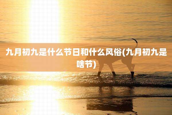 九月初九是什么节日和什么风俗(九月初九是啥节)