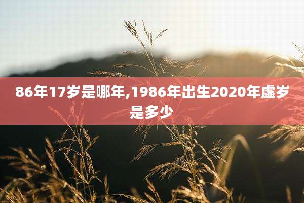 86年17岁是哪年,1986年出生2020年虚岁是多少
