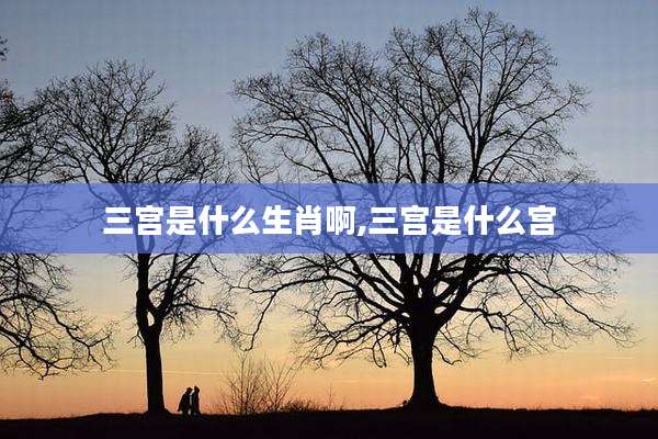 三宫是什么生肖啊,三宫是什么宫