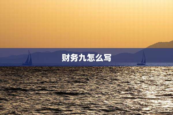 财务九怎么写