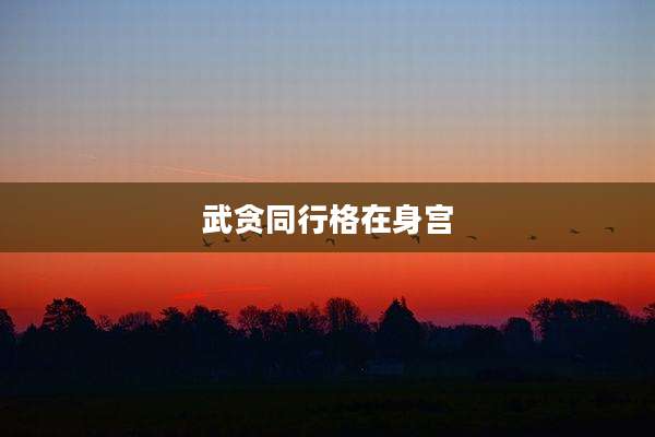 武贪同行格在身宫