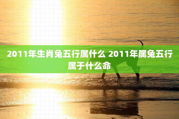 2011年生肖兔五行属什么 2011年属兔五行属于什么命