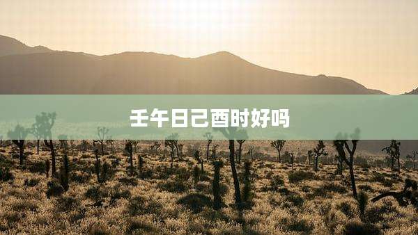 壬午日己酉时好吗