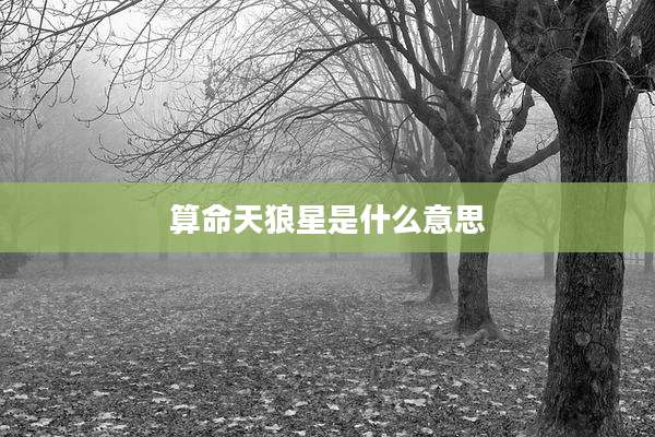 算命天狼星是什么意思