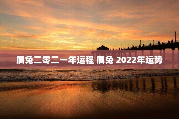 属兔二零二一年运程 属兔 2022年运势