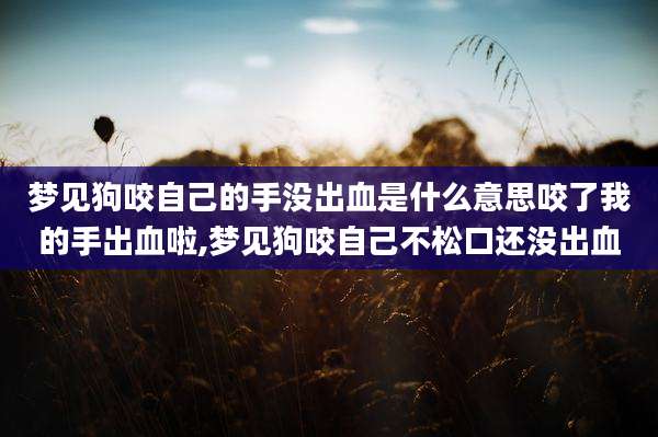 梦见狗咬自己的手没出血是什么意思咬了我的手出血啦,梦见狗咬自己不松口还没出血