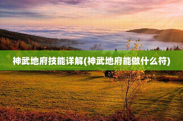 神武地府技能详解(神武地府能做什么符)