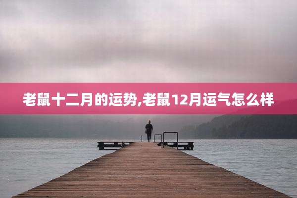 老鼠十二月的运势,老鼠12月运气怎么样