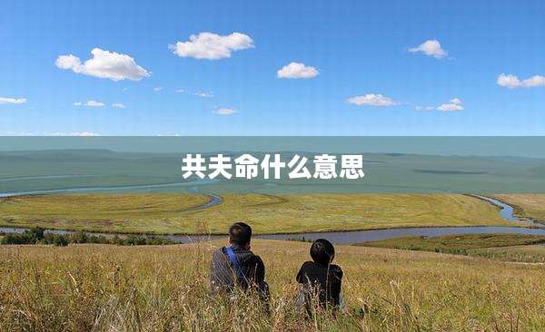 共夫命什么意思