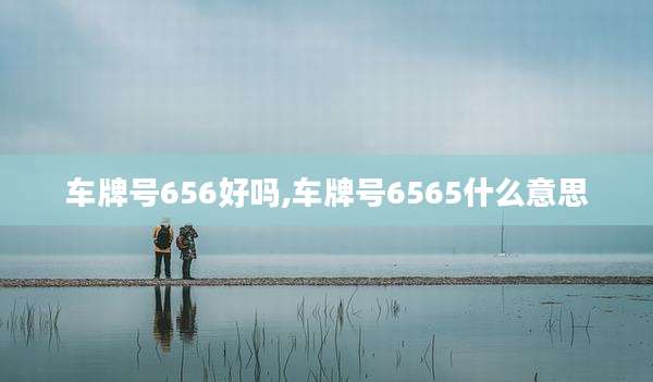 车牌号656好吗,车牌号6565什么意思