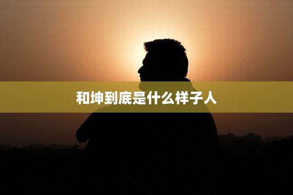 和坤到底是什么样子人
