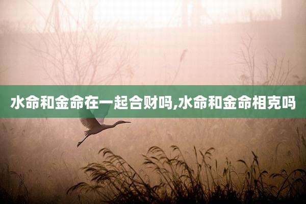 水命和金命在一起合财吗,水命和金命相克吗