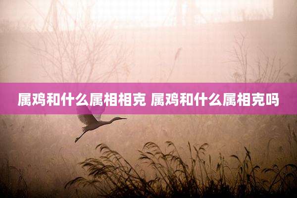 属鸡和什么属相相克 属鸡和什么属相克吗