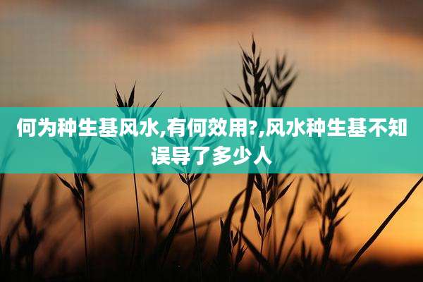 何为种生基风水,有何效用?,风水种生基不知误导了多少人