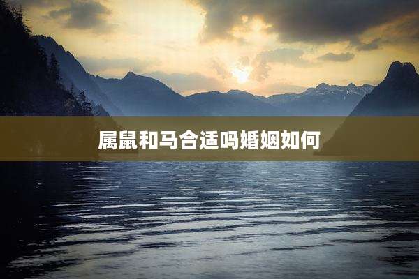 属鼠和马合适吗婚姻如何