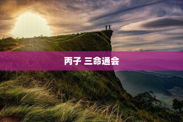 丙子 三命通会