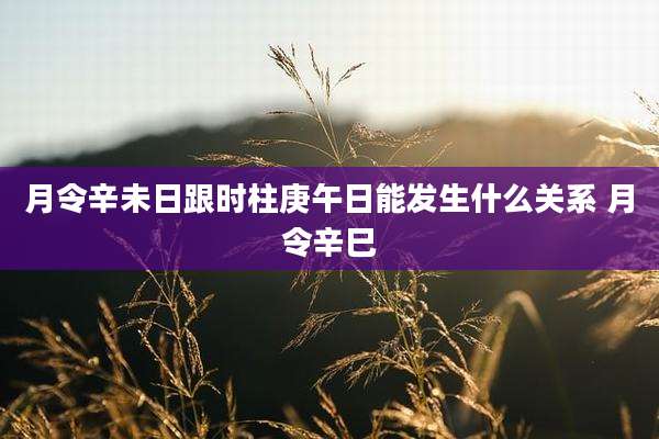 月令辛未日跟时柱庚午日能发生什么关系 月令辛巳