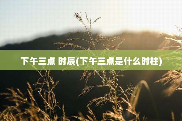 下午三点 时辰(下午三点是什么时柱)