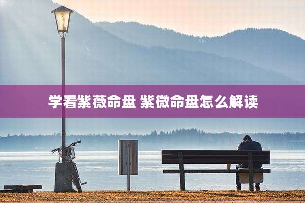 学看紫薇命盘 紫微命盘怎么解读