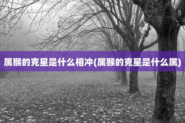 属猴的克星是什么相冲(属猴的克星是什么属)