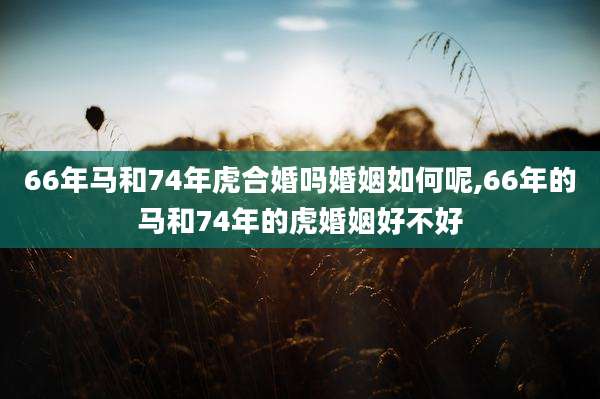 66年马和74年虎合婚吗婚姻如何呢,66年的马和74年的虎婚姻好不好