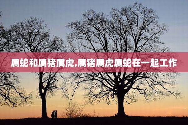 属蛇和属猪属虎,属猪属虎属蛇在一起工作