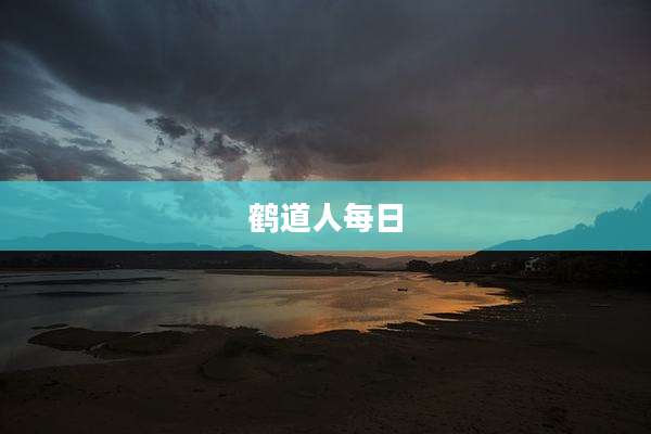 鹤道人每日