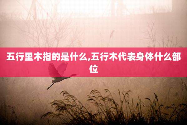 五行里木指的是什么,五行木代表身体什么部位