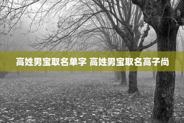 高姓男宝取名单字 高姓男宝取名高子尚