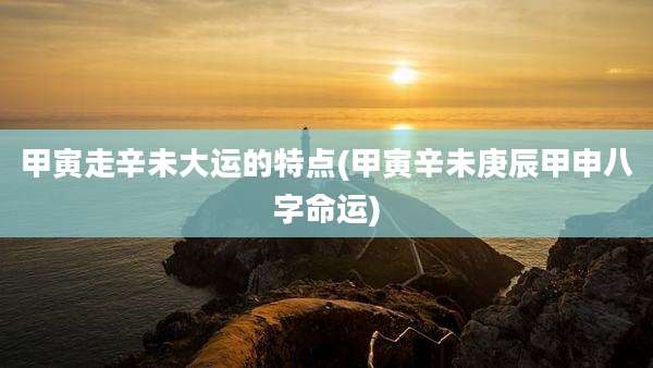 甲寅走辛未大运的特点(甲寅辛未庚辰甲申八字命运)