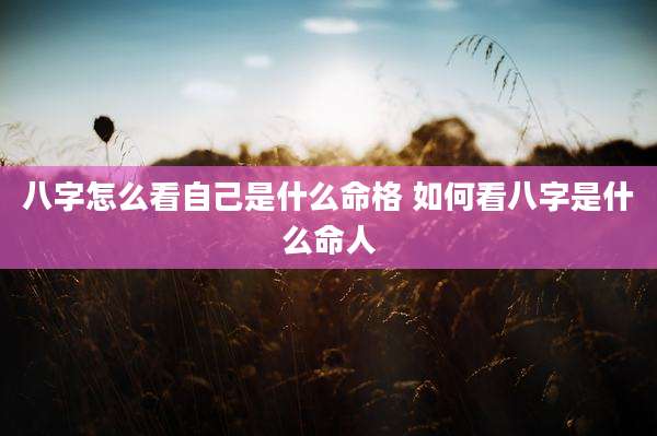 八字怎么看自己是什么命格 如何看八字是什么命人