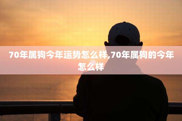 70年属狗今年运势怎么样,70年属狗的今年怎么样