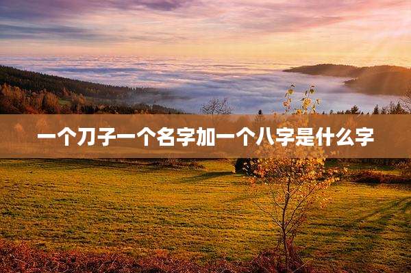 一个刀子一个名字加一个八字是什么字