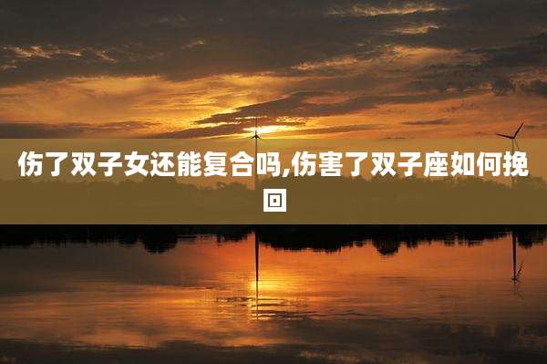 伤了双子女还能复合吗,伤害了双子座如何挽回