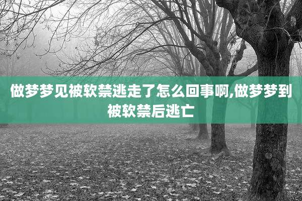 做梦梦见被软禁逃走了怎么回事啊,做梦梦到被软禁后逃亡