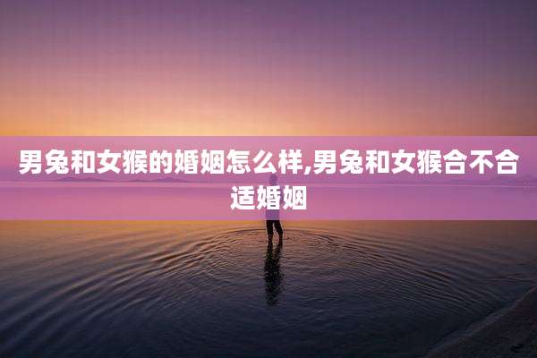 男兔和女猴的婚姻怎么样,男兔和女猴合不合适婚姻