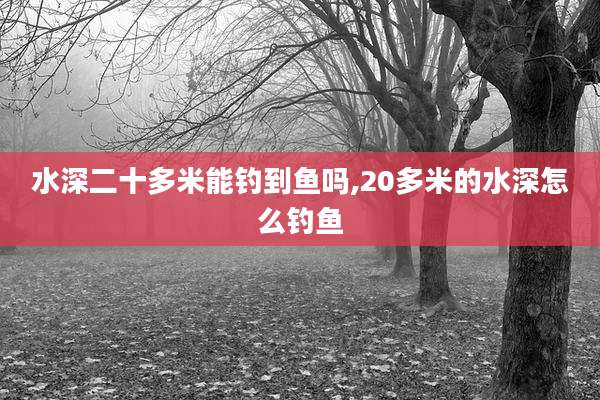 水深二十多米能钓到鱼吗,20多米的水深怎么钓鱼